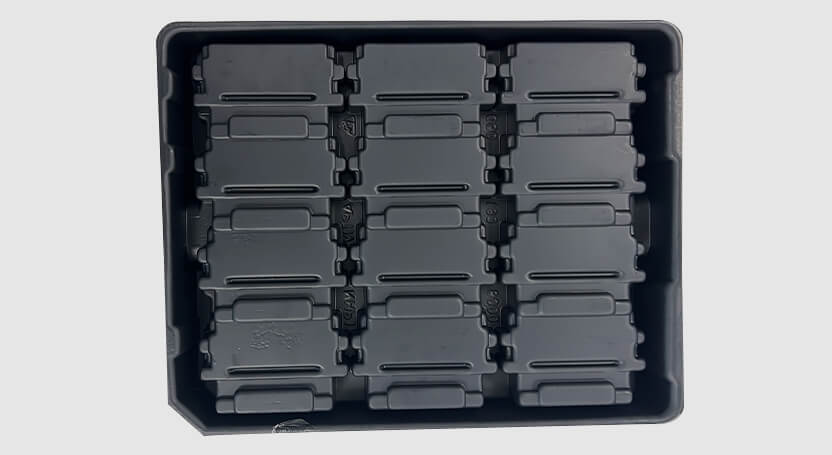 Benz's Thermoformed Tray - view 2