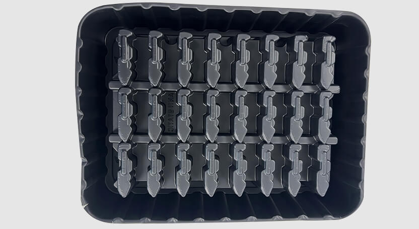Benz's Thermoformed Tray - view 4